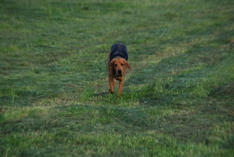 DSC_0019.JPG