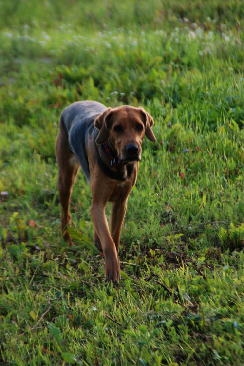 DSC_0022.JPG