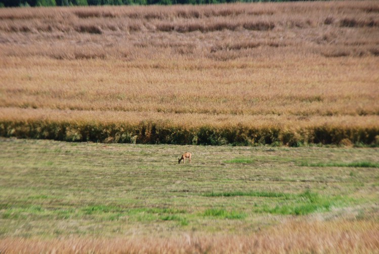 DSC_0025.JPG
