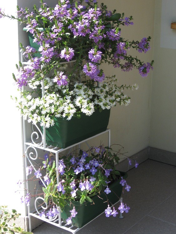 Lipiec2013 067.jpg