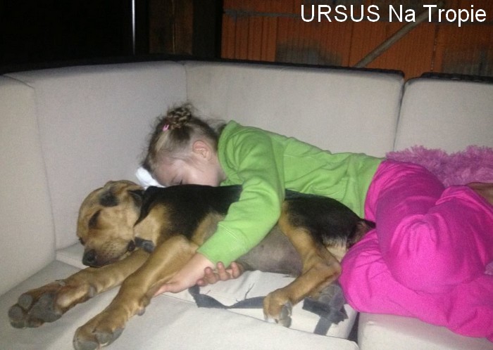 ursus4.jpg