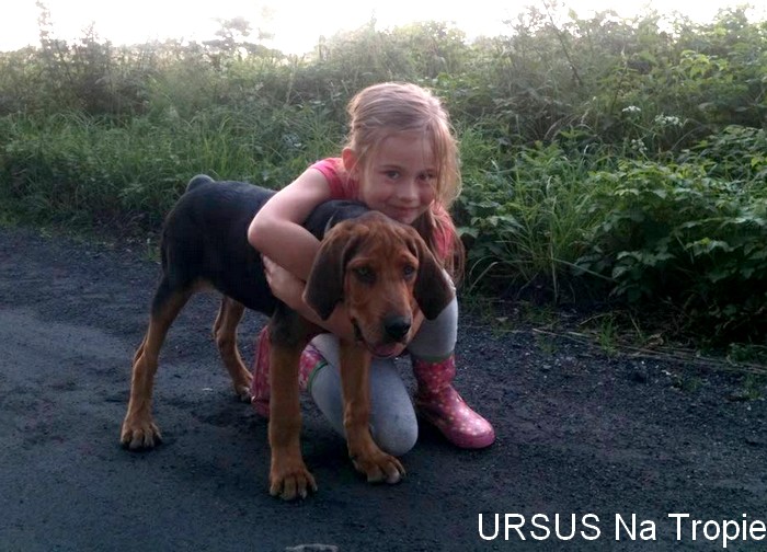 ursus5.jpg