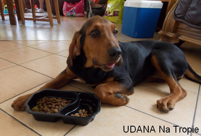 udana5.jpg