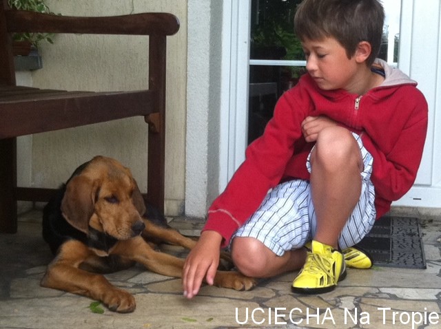 uciecha2.jpg