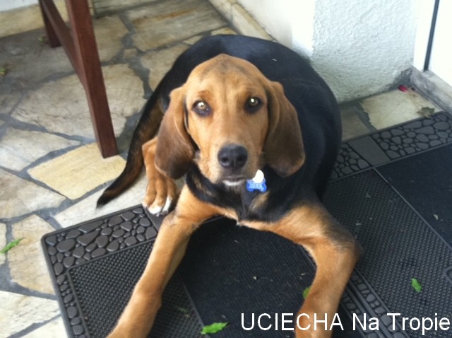 uciecha4.jpg