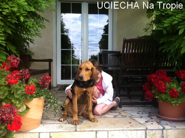uciecha5.jpg