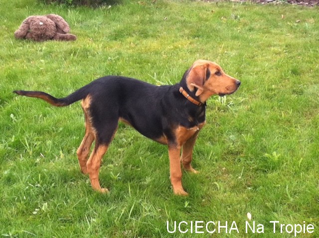 uciecha 3.jpg