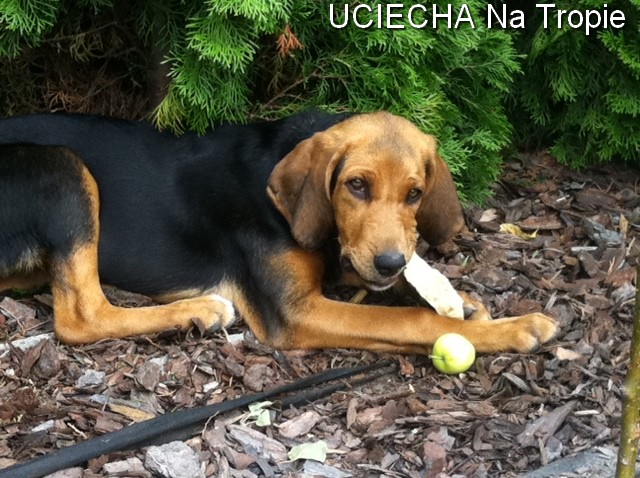 uciecha 6.jpg
