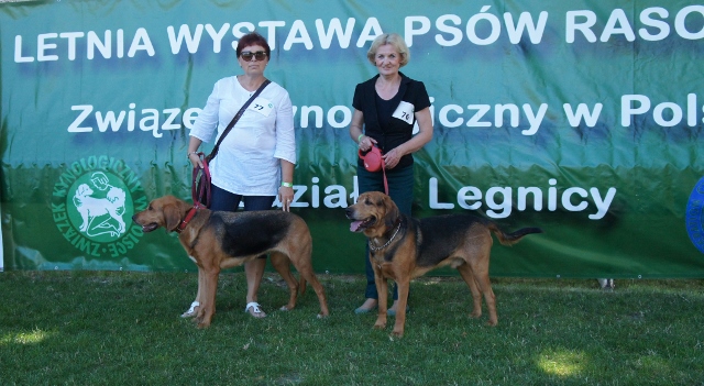 Godni reprezentanci rasy