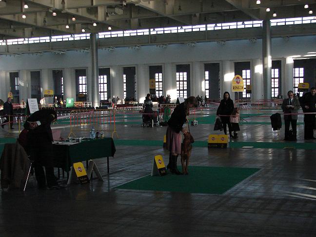 DSC06673..JPG