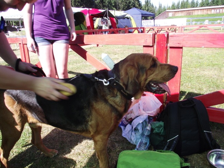 DSCF3363.JPG