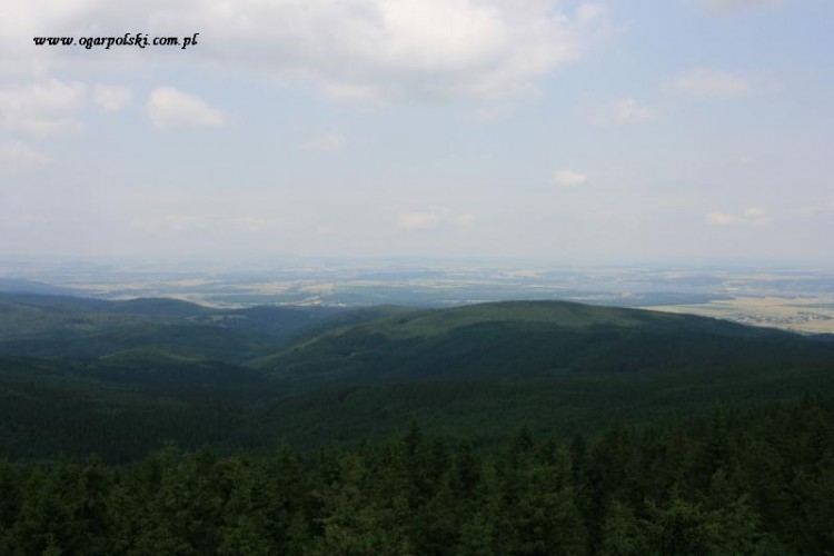 borówkowa 046.jpg