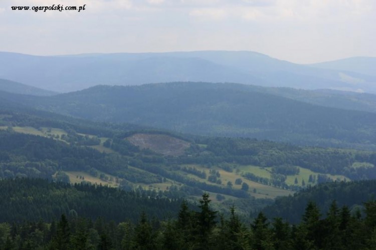 borówkowa 050.jpg