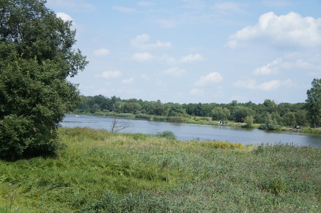 Odra