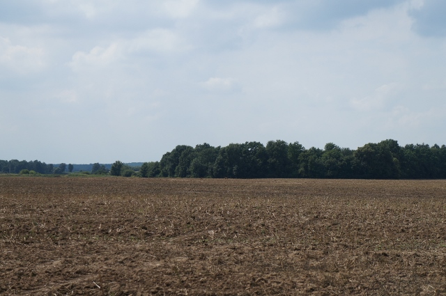 DSC06802 (640x425).jpg