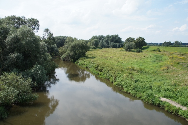 Bystrzyca