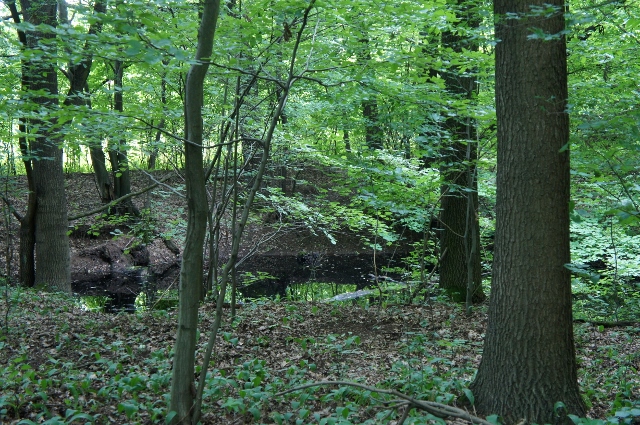 DSC06576 (640x425).jpg