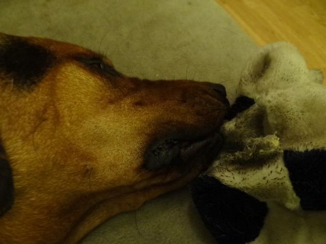 DSC01458.JPG