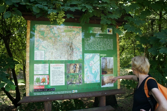 Ewa przy mapie Lasu Rędzińskiego