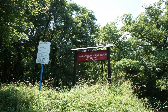 DSC06618 (640x425).jpg