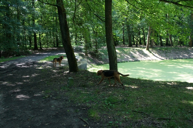 DSC06622 (640x425).jpg