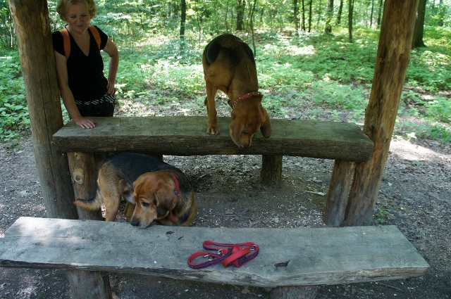 DSC06627 (640x425).jpg