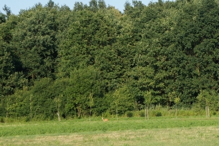 DSC06651 (640x425).jpg