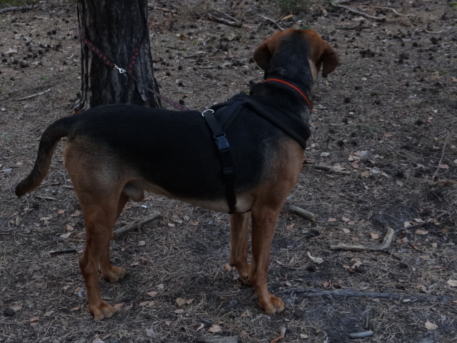 DSC01533.JPG