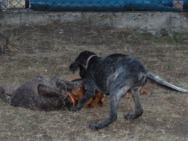 DSC01566.JPG