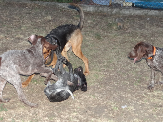 DSC01576.JPG