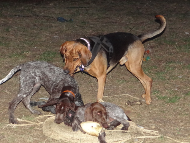 DSC01594.JPG