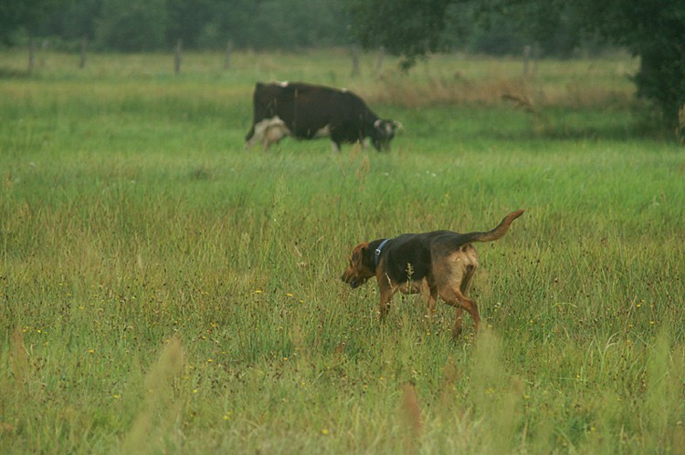 PICT0107o.jpg
