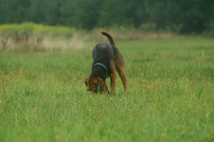 PICT0125o.jpg