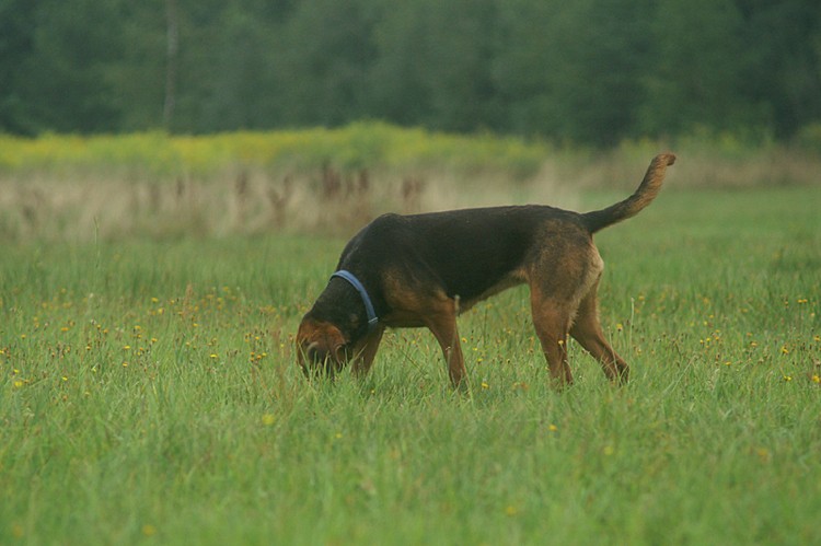 PICT0126o.jpg