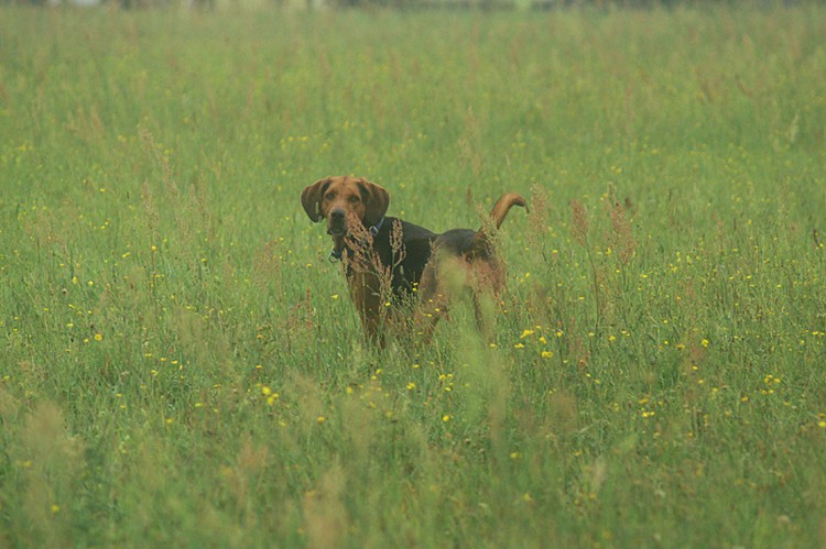 PICT0152o.jpg