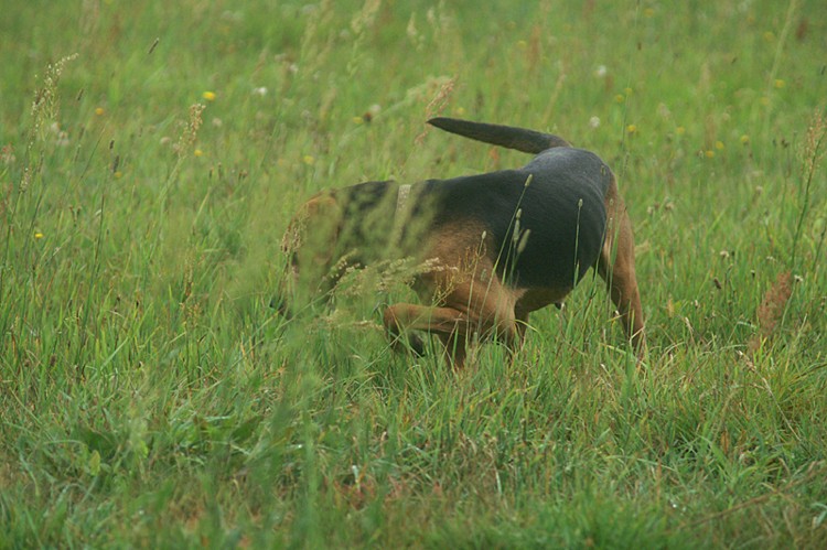 PICT0197o.jpg