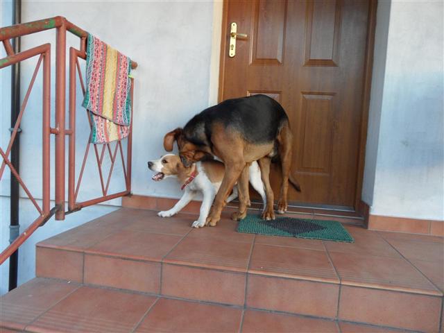 SAM_3252 (Small).JPG