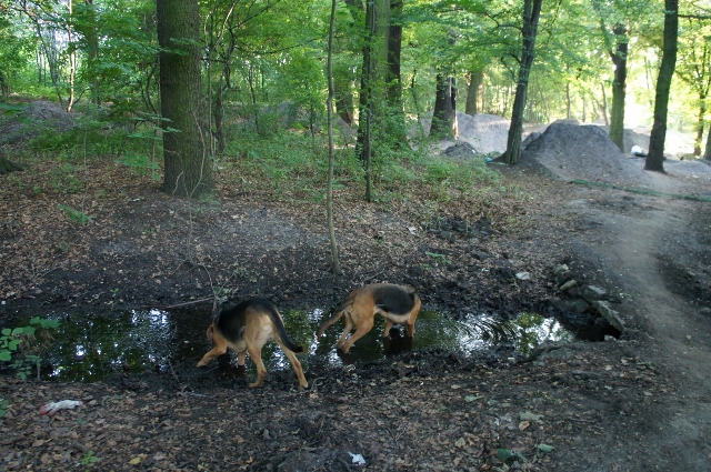 ...gdy zdecydowaliśmy się z Aresem na kąpiel borowinową