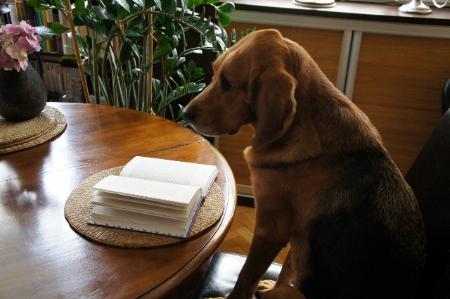 DSC06716 (640x425).jpg
