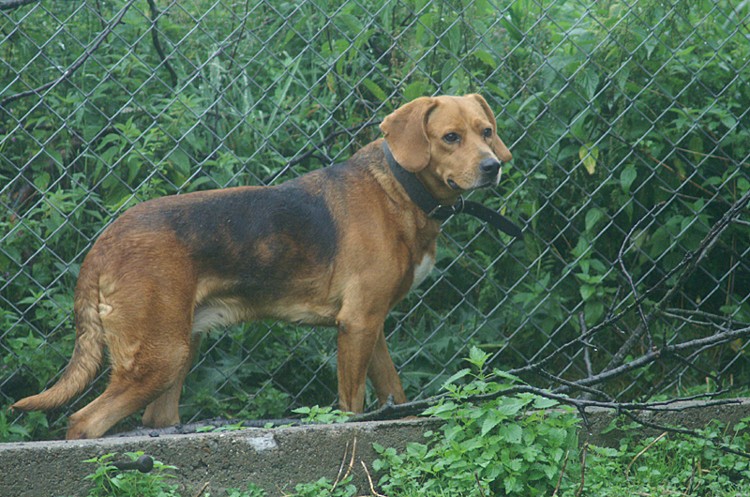 PICT0007m.jpg