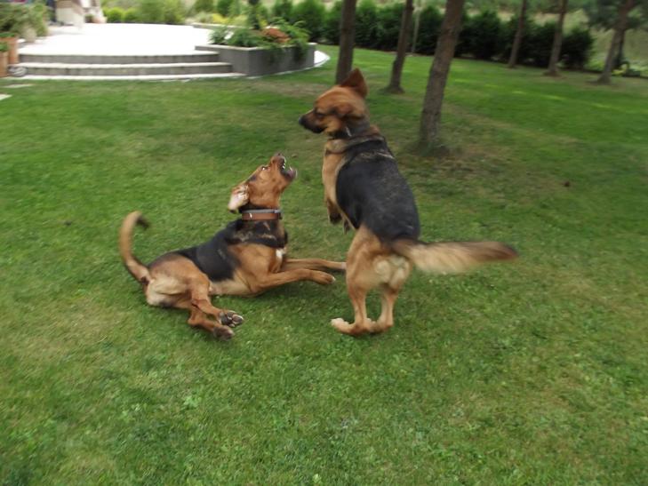 DSCF3916.JPG