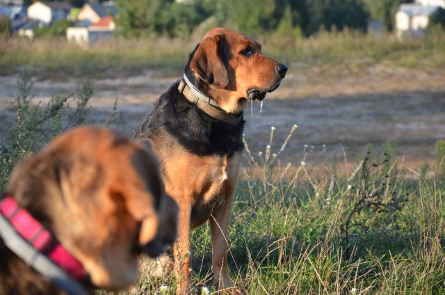 Sierpień 2013 246.jpg