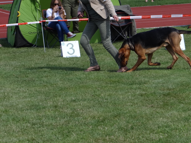 DSC01683.JPG