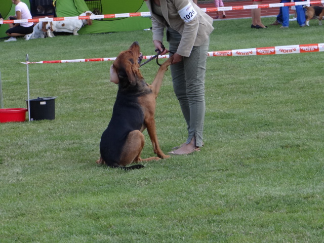 DSC01687.JPG