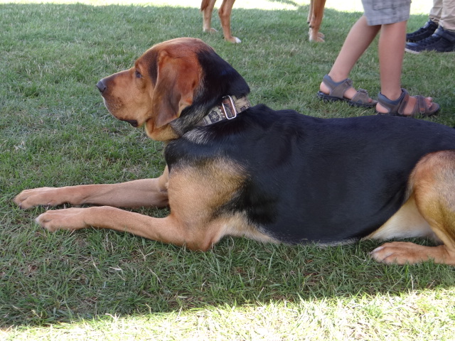 DSC01765.JPG