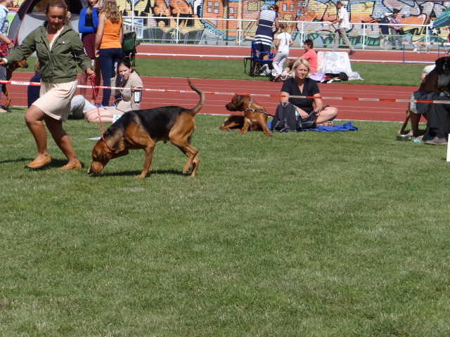 DSC01709.JPG