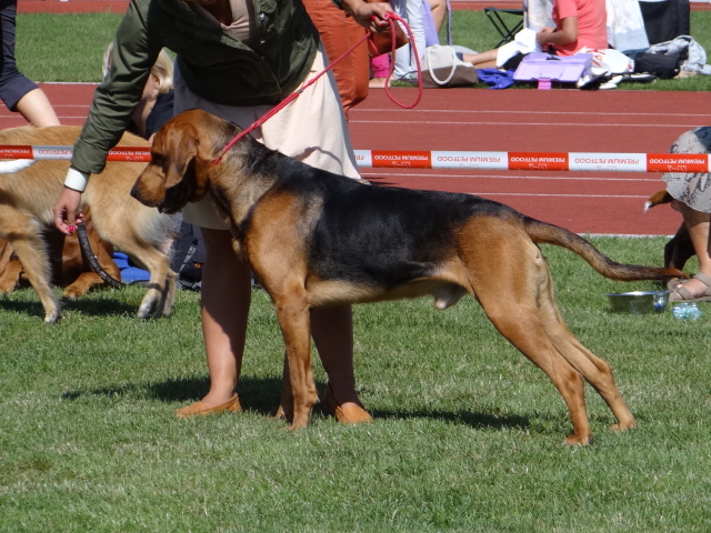 DSC01734.JPG