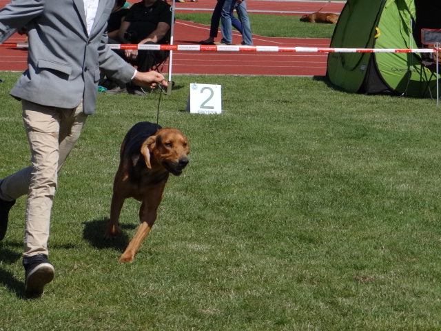 DSC01721.JPG