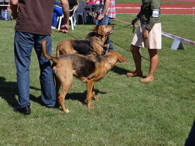 DSC01747.JPG