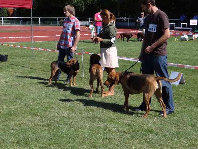 DSC01748.JPG